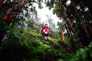 BIB: 
                            <button type="button" onclick="openModal(26203699)" class="btn btn-primary btn-sm float-right btn-popup" data-toggle="modal" data-target=".modal-high-quality">
                        <i class="fas fa-shopping-cart"></i> Add to Cart
                    </button>
                                            <button type="button" onclick="isThisMe(26203699, true)" class="btn btn-success btn-sm float-right btn-popup btn-isme hidden" data-toggle="tooltip" data-placement="bottom" title="นี่คือรูปของคุณใช่ไหม คลิกที่นี่เพื่อเอาเข้าอัลบั้ม">
                        <i class="fas fa-plus"></i> Add to album
                    </button>
                    <button type="button" onclick="isThisMe(26203699, false)" class="btn btn-warning btn-sm float-right btn-popup btn-isnotme hidden">
                        <i class="fas fa-ban"></i> Remove from album
                    </button>